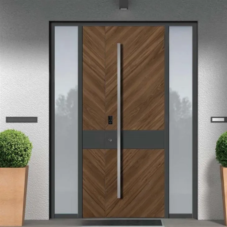 Modern Style Design Steel Security Door